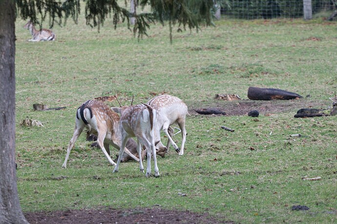 IMG_7302_topaz.jpeg